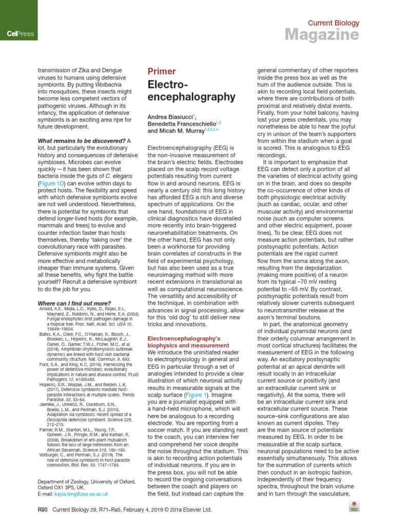 1.Primer Electro-encephalography | PDF | Electroencephalography | Event ...