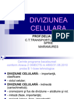 0 Diviziunea Celulra