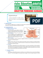 Sistema Reproductor Femenino para Segundo Grado de Secundaria