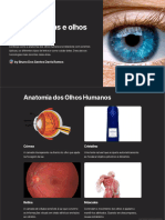 Lentes Opticas e Olhos Humanos
