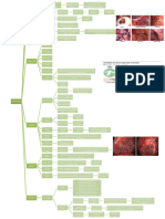 MAPA Endometriosis