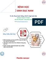 Benh He Sinh Duc Nam SDH 11-2022