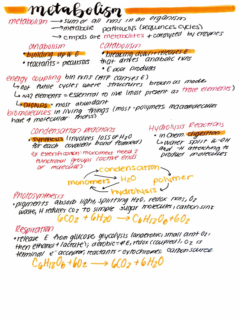 Biochemistry Notes (Paper 3) Chemistry | PDF