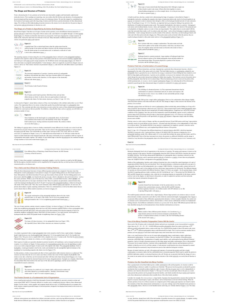 The Shape and Structure of Proteins Molecular Biology of The Cell