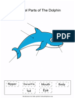 Label Parts of The Dolphin