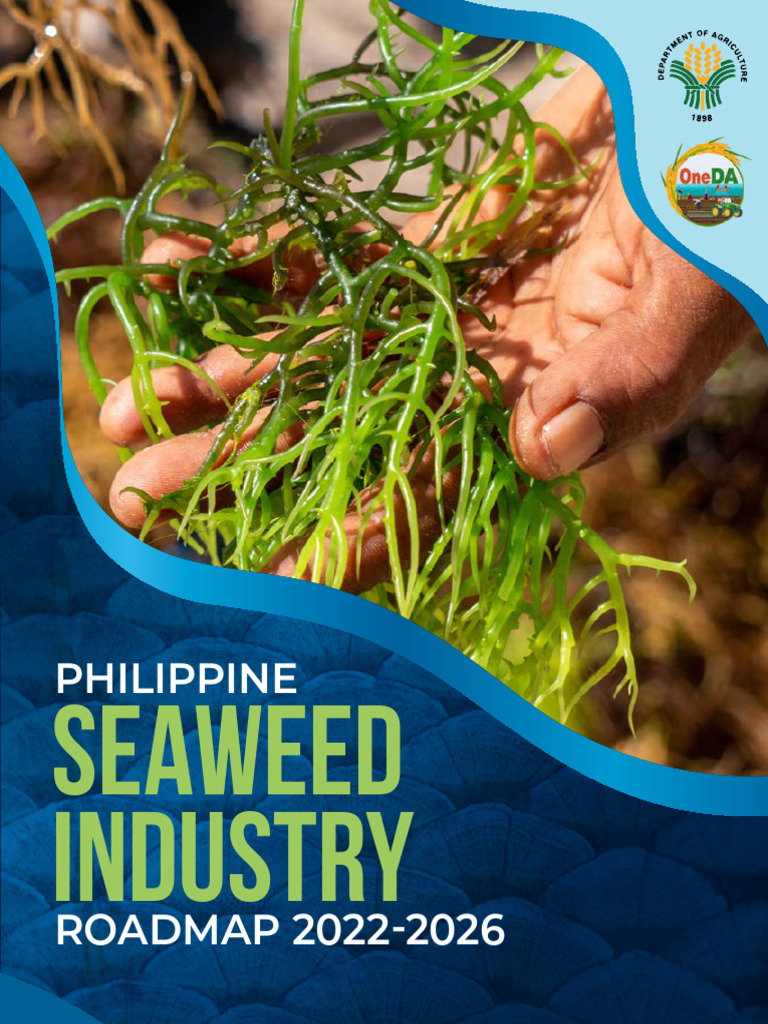 Philippine Seaweed Industry Roadmap 2022 2026 PDF Seaweed Agriculture 1