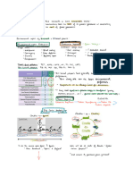 Bioplastics & Life Cycle Analysis