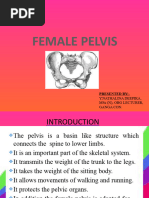 Anatomy and Functions of the Pelvis | PDF | Pelvis | Skeletal System