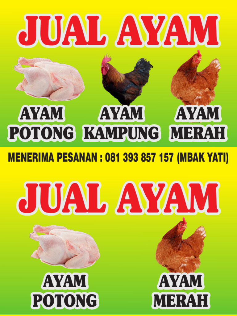 Ayam Potong | PDF