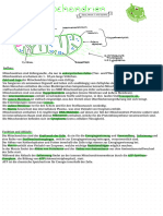 Mitochondrien Übersicht 