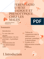 Differenciatio N Du Sexe Gonadique Et Phenotypique Chez Les Males