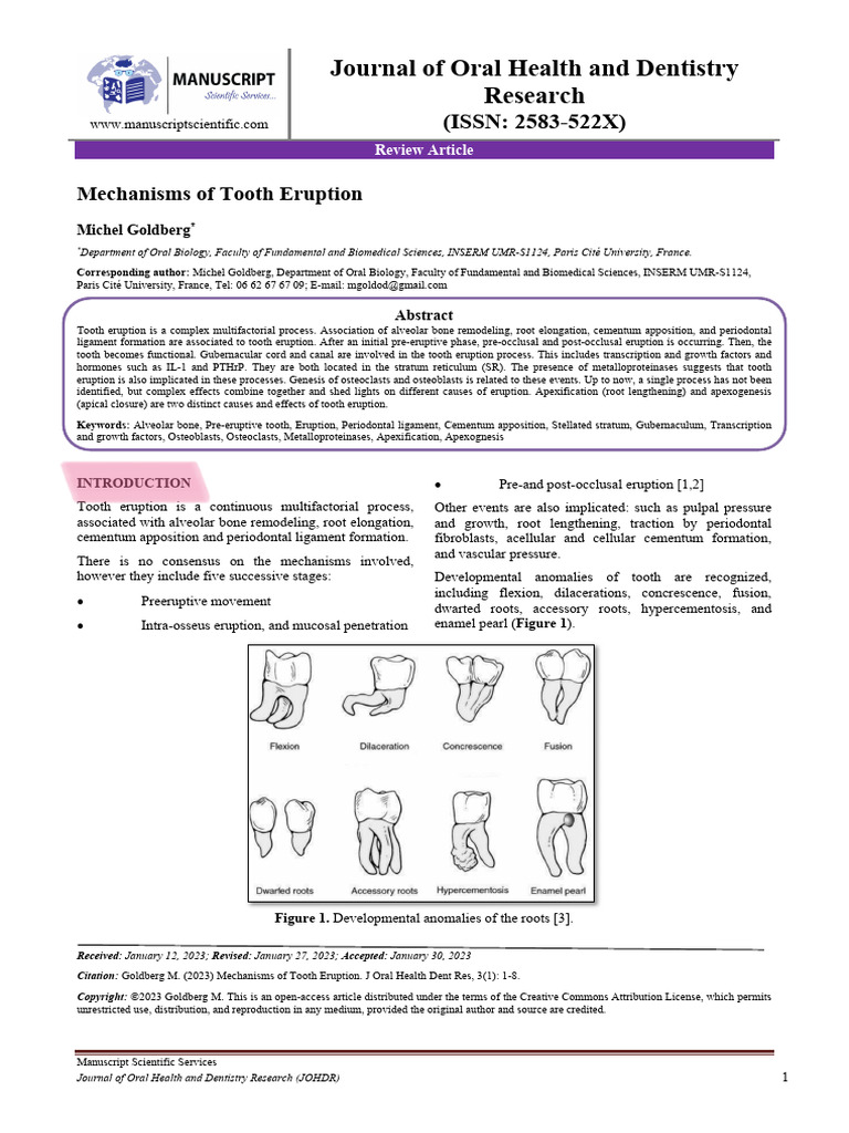 Journal of Oral Health and Dentistry Research: Mechanisms of Tooth ...