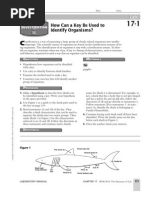 Download Shark Key Lab by crnoble SN67398213 doc pdf