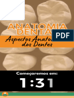 Slides  - Anatomia Dental