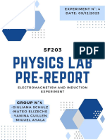 Pre-Report SF203 Part I