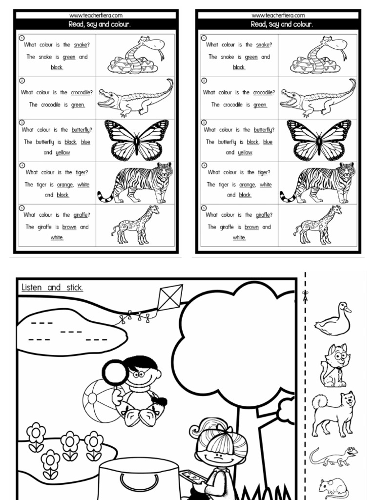pet-show-pdf