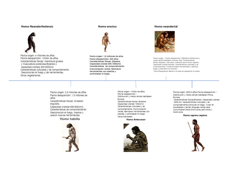 Evolución y características de homínidos | PDF | Homo | Antropologia ...