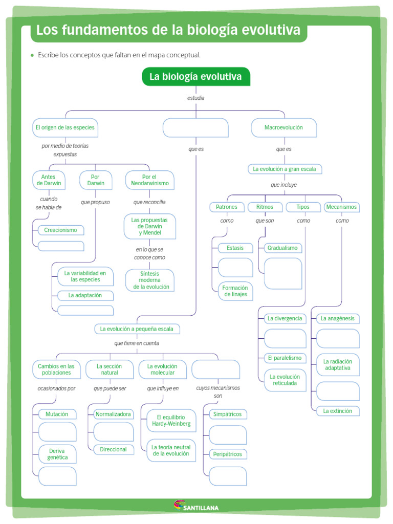 Mapa Biología Evolutiva. | PDF