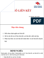 Bài 2 Mô Liên Kết PDF