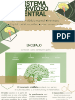 Presentación plan de diseño blanco, verde y marrón y cafe (1)