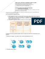 Taller Recup - Primer Periodo C.nat 8°