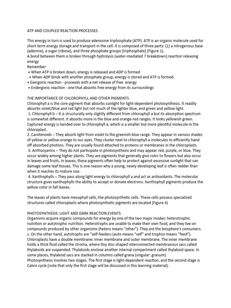 atp-and-coupled-reaction-processes-pdf-cellular-respiration