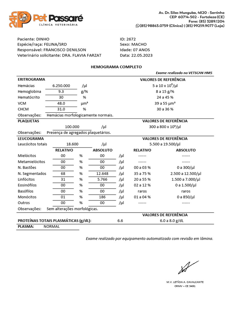 hemograma-gato-pdf-rem-dio-hematologia