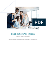 Aishwarya Sekar - Belbin's Team Roles