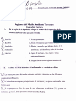 Práctica 1 Medio Ambiente