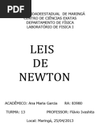 Experimento Leisnewton
