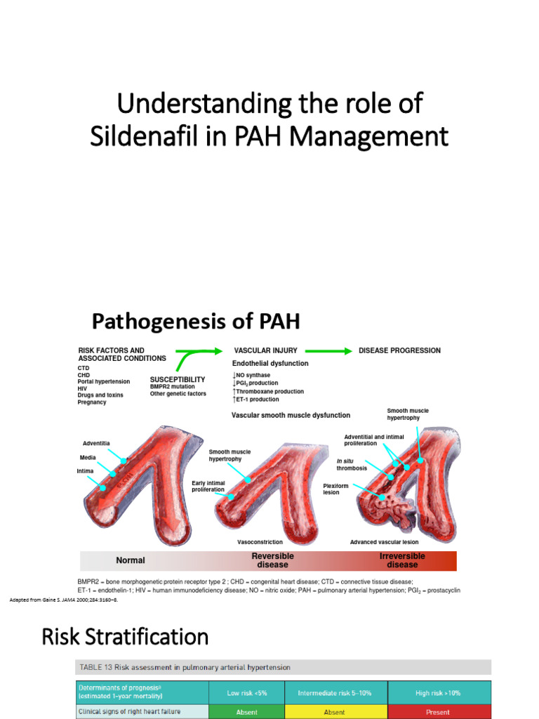 5 PAH Management 4 PDF
