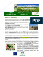 Informe Final Patata Cádiz 2019