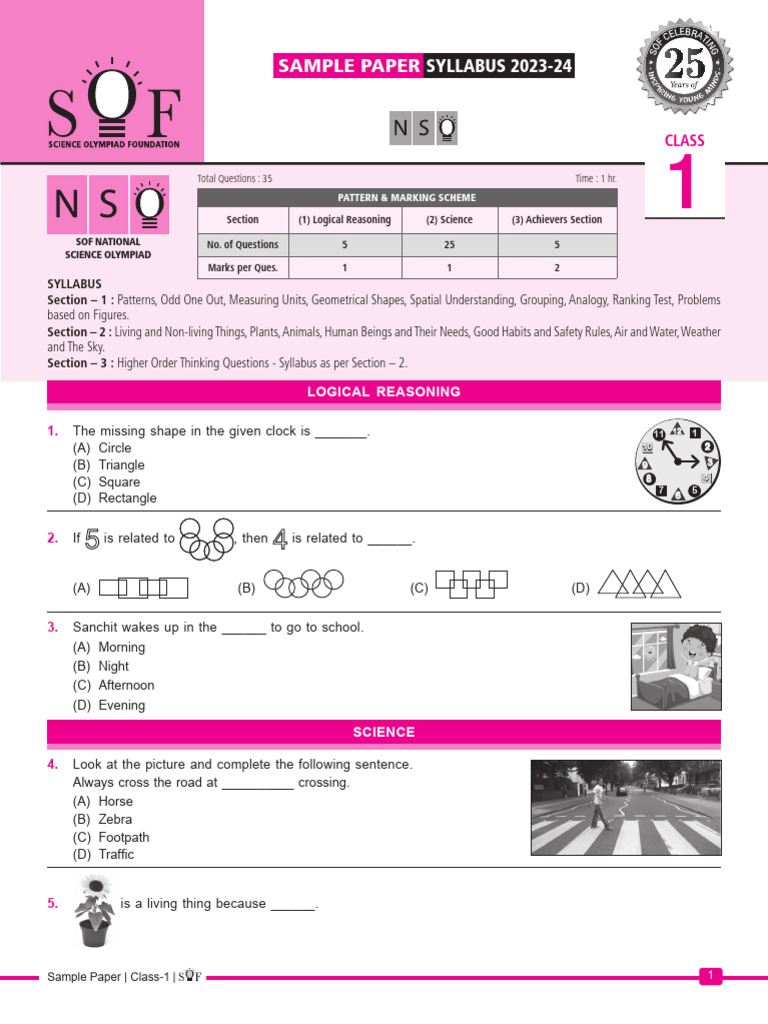 Nso Sample Paper Class1 PDF