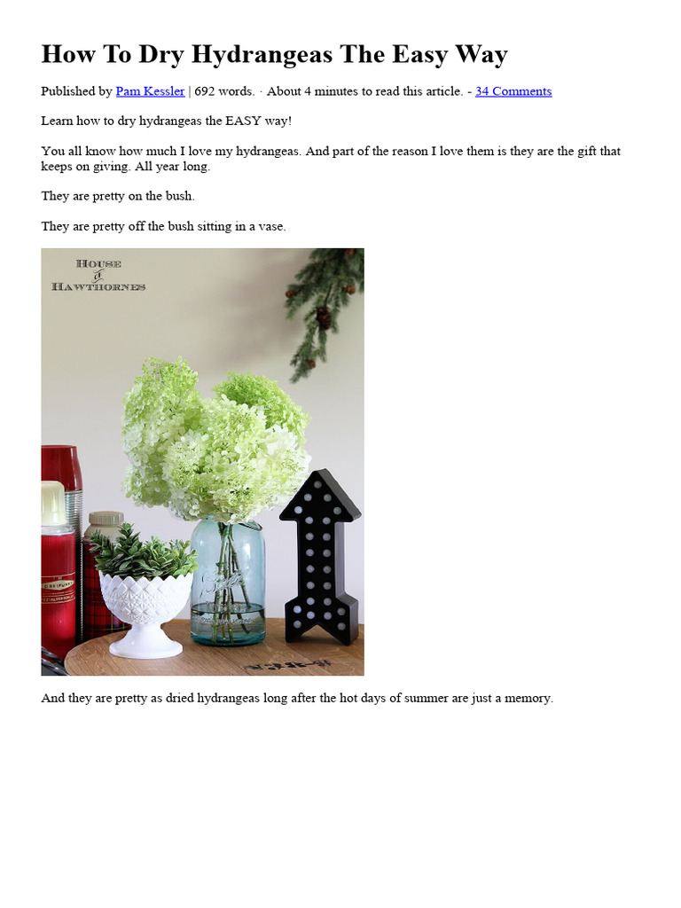 Best Way To Dry Hydrangeas