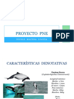 Proyecto Diseño