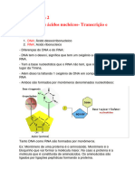 Aula 2 - Estrutura Dos Ácidos Nucleicos - Transcrição e Tradução