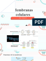 Membranas Biocel