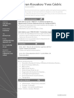 Nouveau CV N'goran Yves Cedric (1) - 3