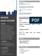 CV Wadia Saad-Eddine