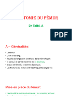 Anatomie Du Femur