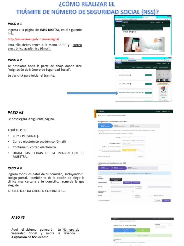 Asignacion Numero SS | PDF