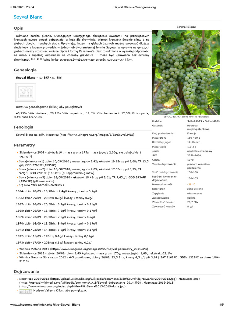 Seyval Blanc – Winogrona.org | PDF