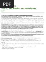 Download Le Corps Humain by Florence Kersabiec SN67410274 doc pdf