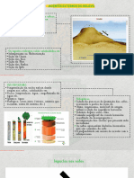 10 - ESA GEOGRAFIA BR - Agentes Externos Do Relevo