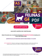 Lead Magnet 10 Recetas Felinas