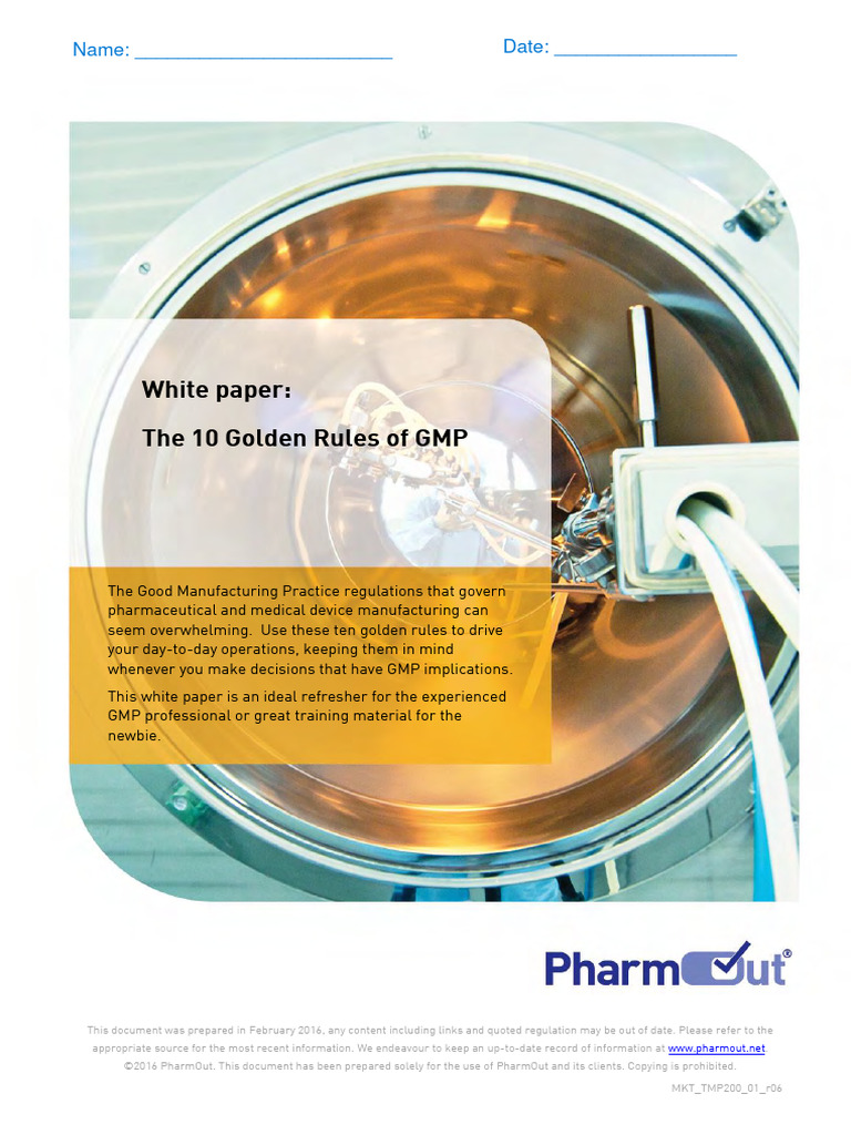 10 Golden Rules of GMP Explained | PDF