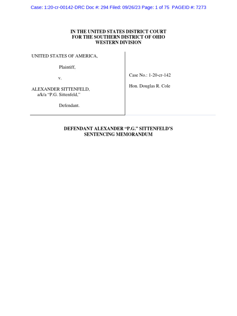 PG Sentencing Memo PDF United States Federal Sentencing Guidelines