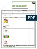 Evaluación Contenidos Ciencias 1roa