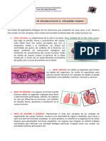 Los Niveles de Organizacion en El Organismo Humano