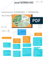 Mapa Conceptual Nor-043